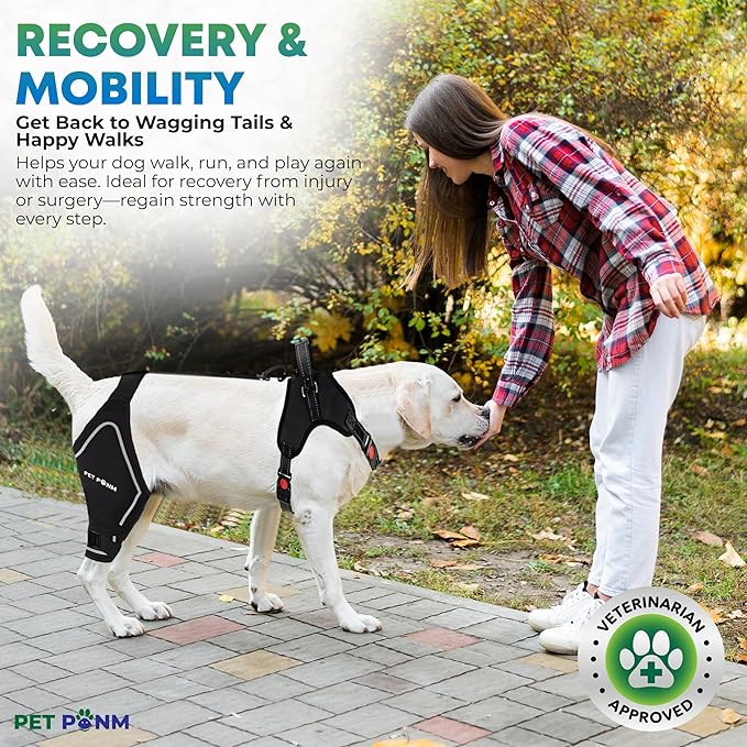 Comfortable Dog Knee Brace for Both Hind Legs with Harness - for ACL Tear, Luxating Patellae, Osteoarthritis & Instability - for Recovery & Injury Prevention in Active/Aging Dogs - (XLarge)