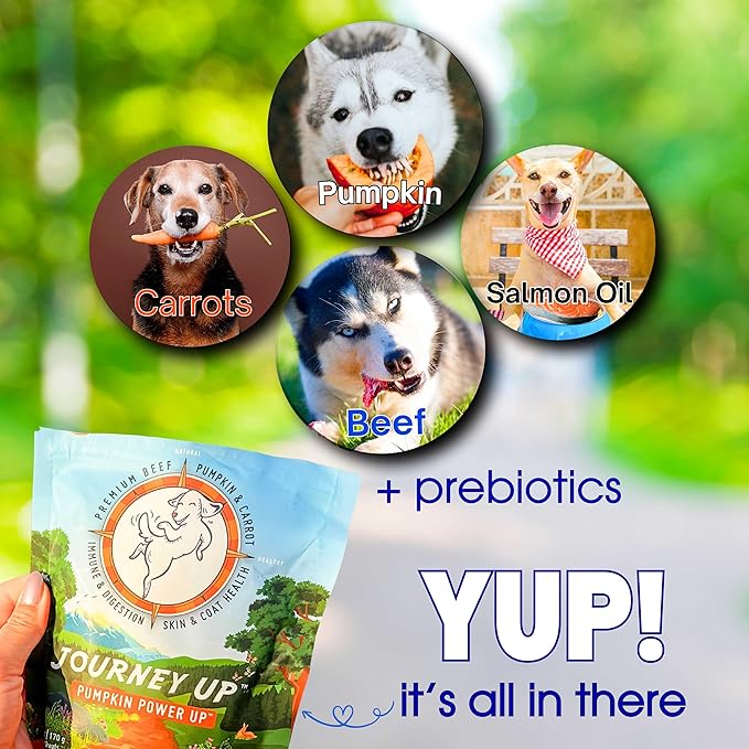 HappyTails Journey Up, Pumpkin Power Up Jerky Treats for Dogs with Beef, Pumpkin & Carrots-Made in USA-Prebiotics for Gut & Immune Health, Omega 3 & 6 for Skin & Coat, Small-Large Dogs, 6 oz.