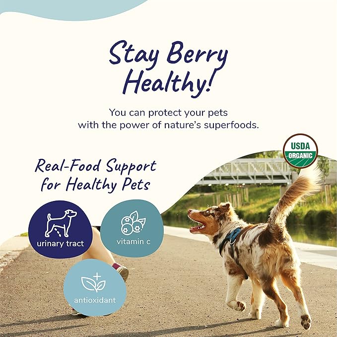 kin+kind Dog Supplement Powder - Supplement for Dogs & Cats for Healthy Immunity - Bladder Support - Natural Formula with Organic Cranberry, Blueberry and Coconut - Made in USA - 8 oz (Large)
