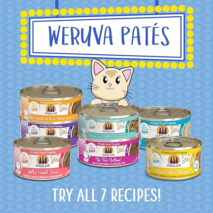 Weruva Classic Cat Paté, Who Wants to be a Meowionaire? with Chicken & Pumpkin, 5.5oz Can (Pack of 8)