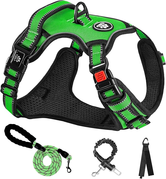NESTROAD No Pull Dog Harness,Adjustable Oxford Dog Vest Harness with Leash,Reflective No-Choke Pet Harness with Easy Control Soft Handle for Small Dogs(Small,FluorescentGreen)