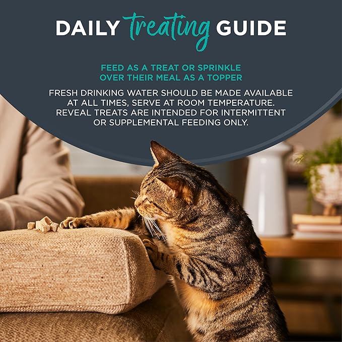 Reveal Natural Cat Treats, 12 Count Single Ingredient Treat for Cats, Grain Free, Whole Salmon Loin, 1.06 oz Bags