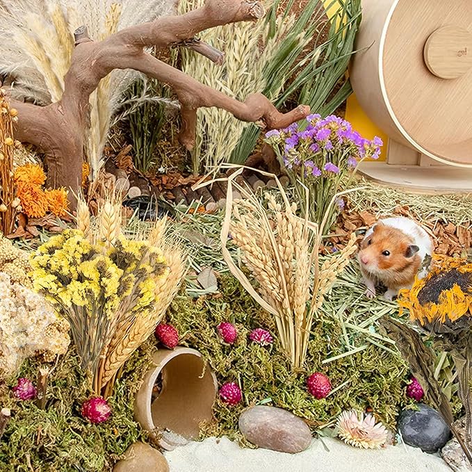 Natural Ear of Grain Flower&Herb Bedding Mate Habitat Decor, Adding Fun Hamster Accessories for Hamsters Gerbils Lemming