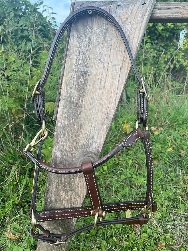 Leaders Leather Halter for Horses with Customized Engraved Name Plate Option Halter for Horse