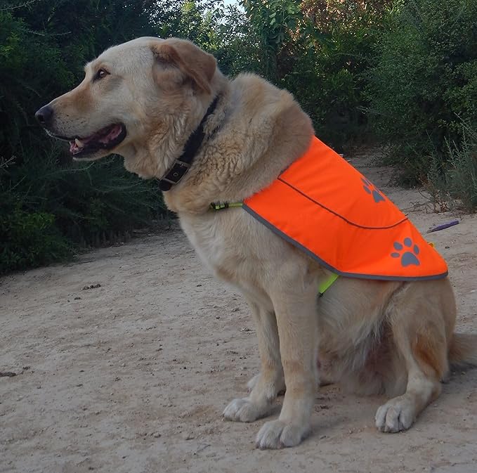 Dog Reflective Vest - Comfortable Jacket Safety Hunting, High Visibility for Dogs with Elastic Straps and Clasp Closure- Yellow, X-Large
