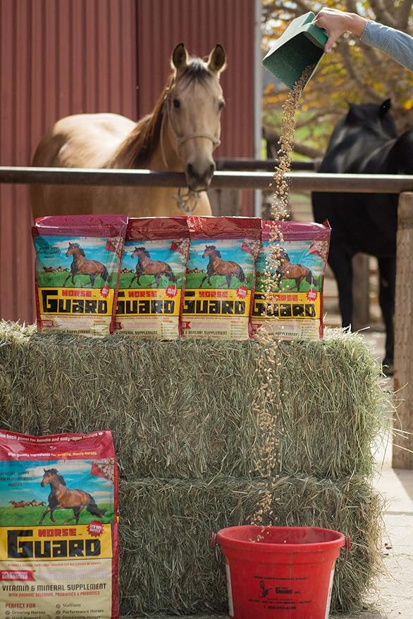 Horse Guard 10 lb, Equine Vitamin Mineral Supplement with Organic Selenium & Vitamin E