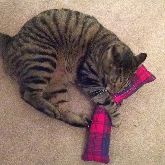 15" Cat Kicker Toy with Refillable Catnip Pocket (Red Flannel) - Filled with 1 oz Premium Canadian Catnip