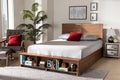 Baxton Studio Alba Modern Transitional Ash Walnut Brown Finished Wood Full Size 4-Drawer Platform Storage Bed with Built-In Shelves