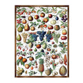 Fruit Montessori Wooden Poster - Homeschool I Educational Poster - Classroom Decor - Aesthetic - 310223