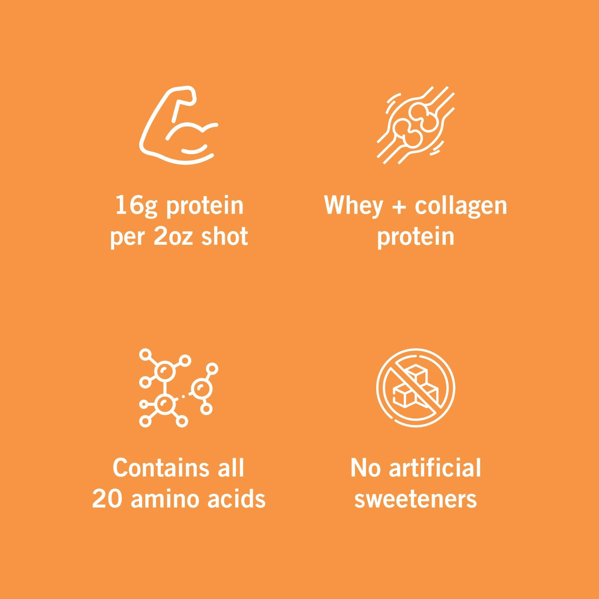 Vidafuel Wellness Protein Drink with Collagen and Whey, Berry Delight Flavor 02-222A