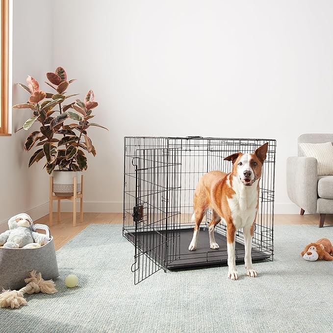 Amazon Basics Durable,Foldable Metal Wire Dog Crate with Tray, Double Door, 42 x 28 x 30 in, Black