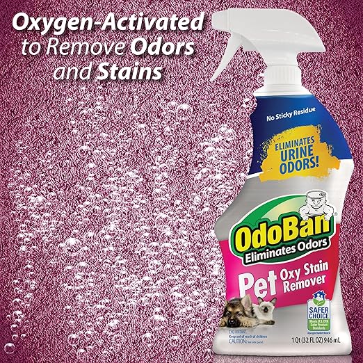 OdoBan Pet Solutions No Rinse Neutral pH Floor Cleaner Concentrate, Made in the USA, 1 Gallon, and Oxy Stain Remover, 32 Ounce Spray