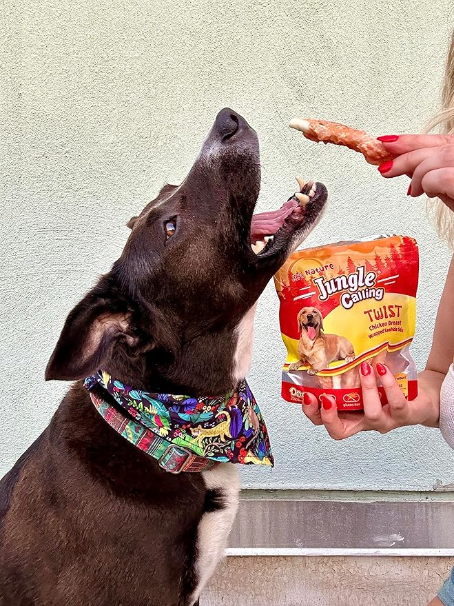 Jungle Calling Dog Treats, Chicken Wrapped Rawhide Sticks for Dogs, Delicious and Nutritious Training Reward Treats and Dog Chews Snacks, 6 oz