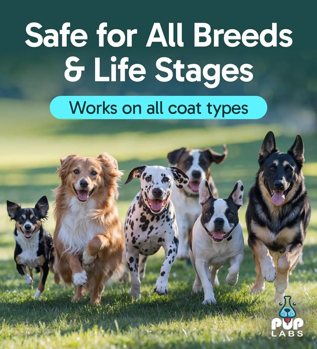 Anti-Itch Pet Skincare Spray for Dogs –Aloe, Rose & Coconut Hot Spot Relief