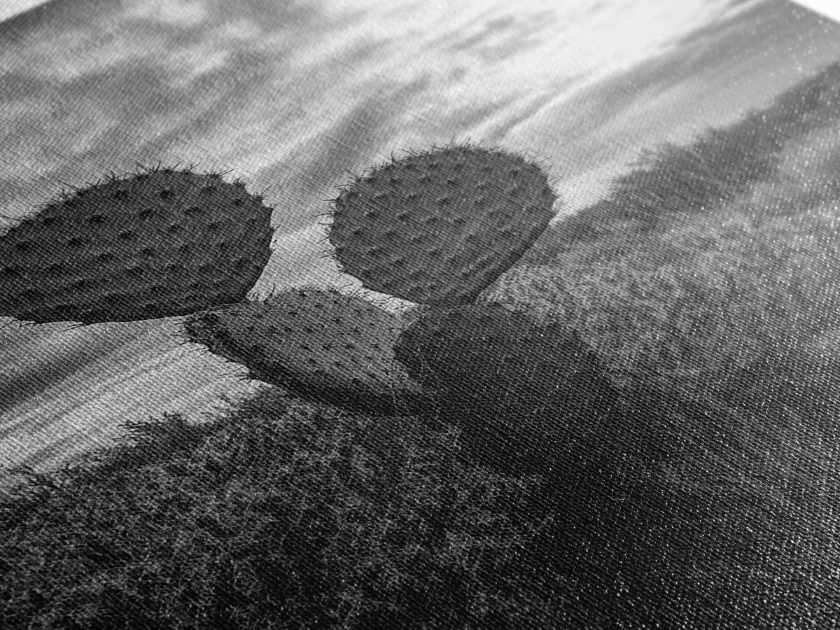 Prickly Pear, cactus art, Joshua tree art, wabi sabi art, moody art, black and white, framed canvas print, minimalist decor, rustic wall art