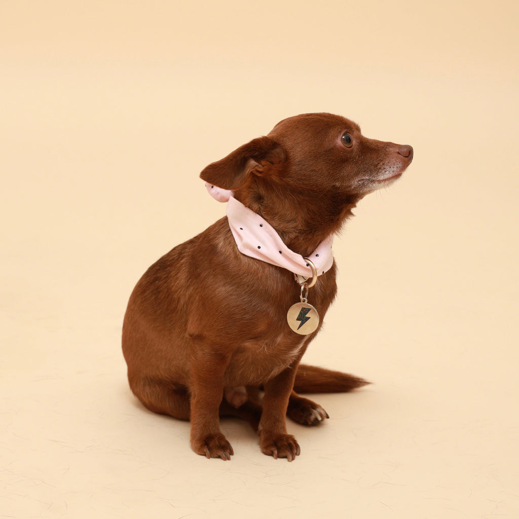 Pink Polka Dot Neckerchief