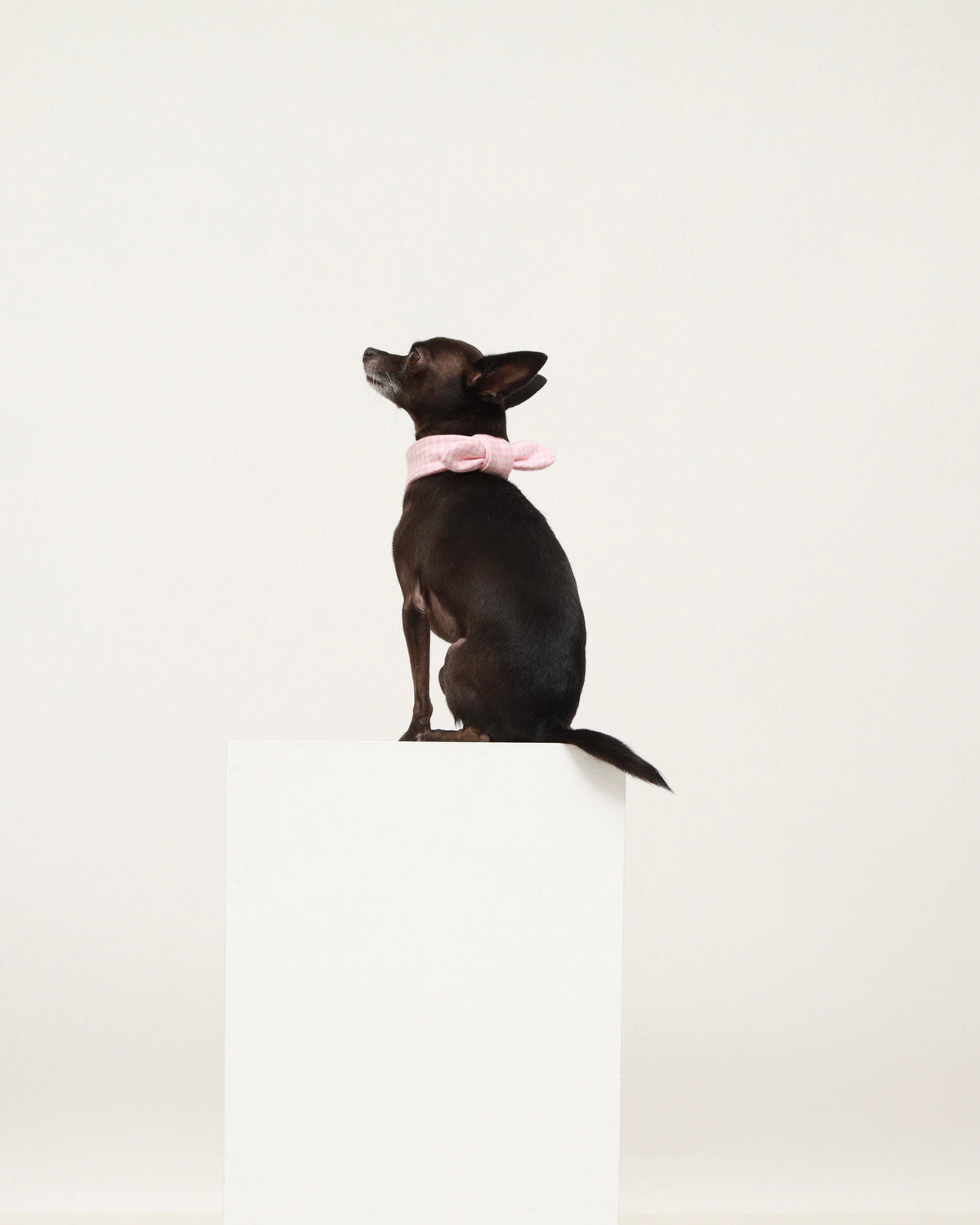 Pink Cotton Scarf