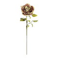 Foam Blush Rose Stem
