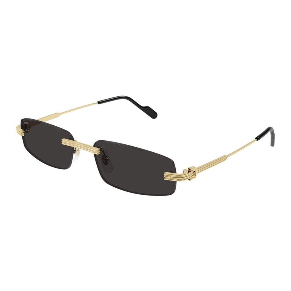 CARTIER Men's Premium Designer Sunglasses