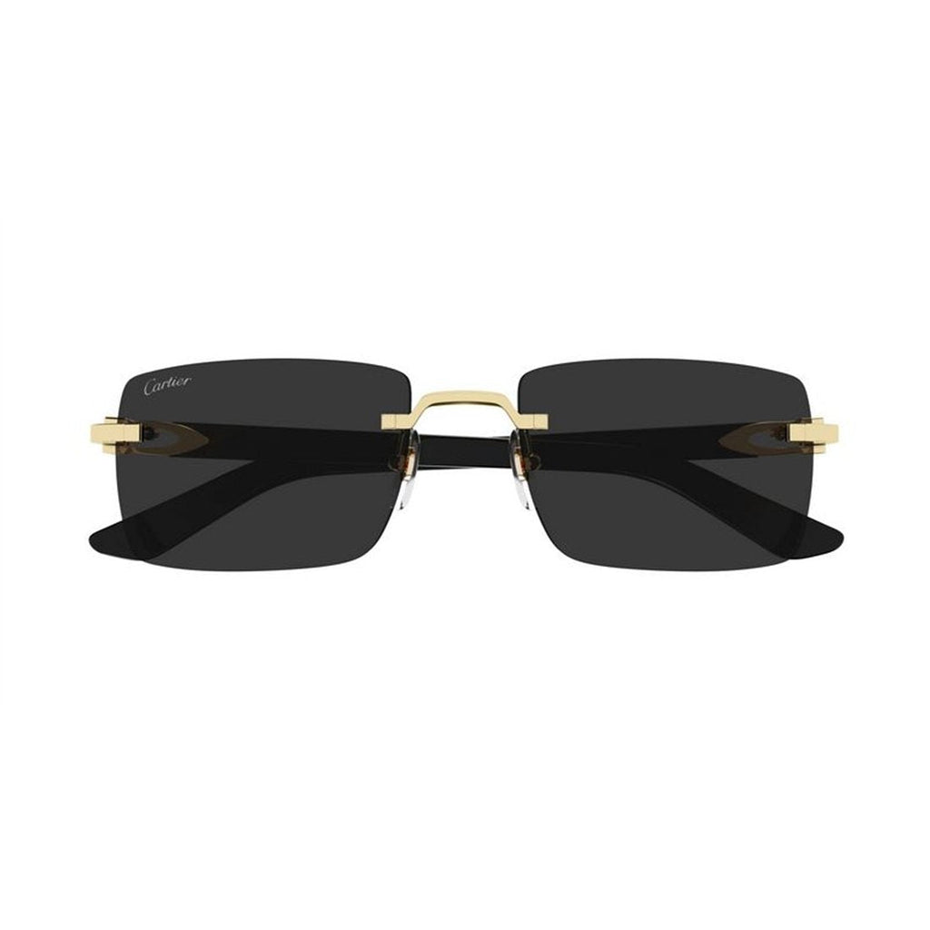 CARTIER Sleek Metal Sunglasses for Men - Classic Style