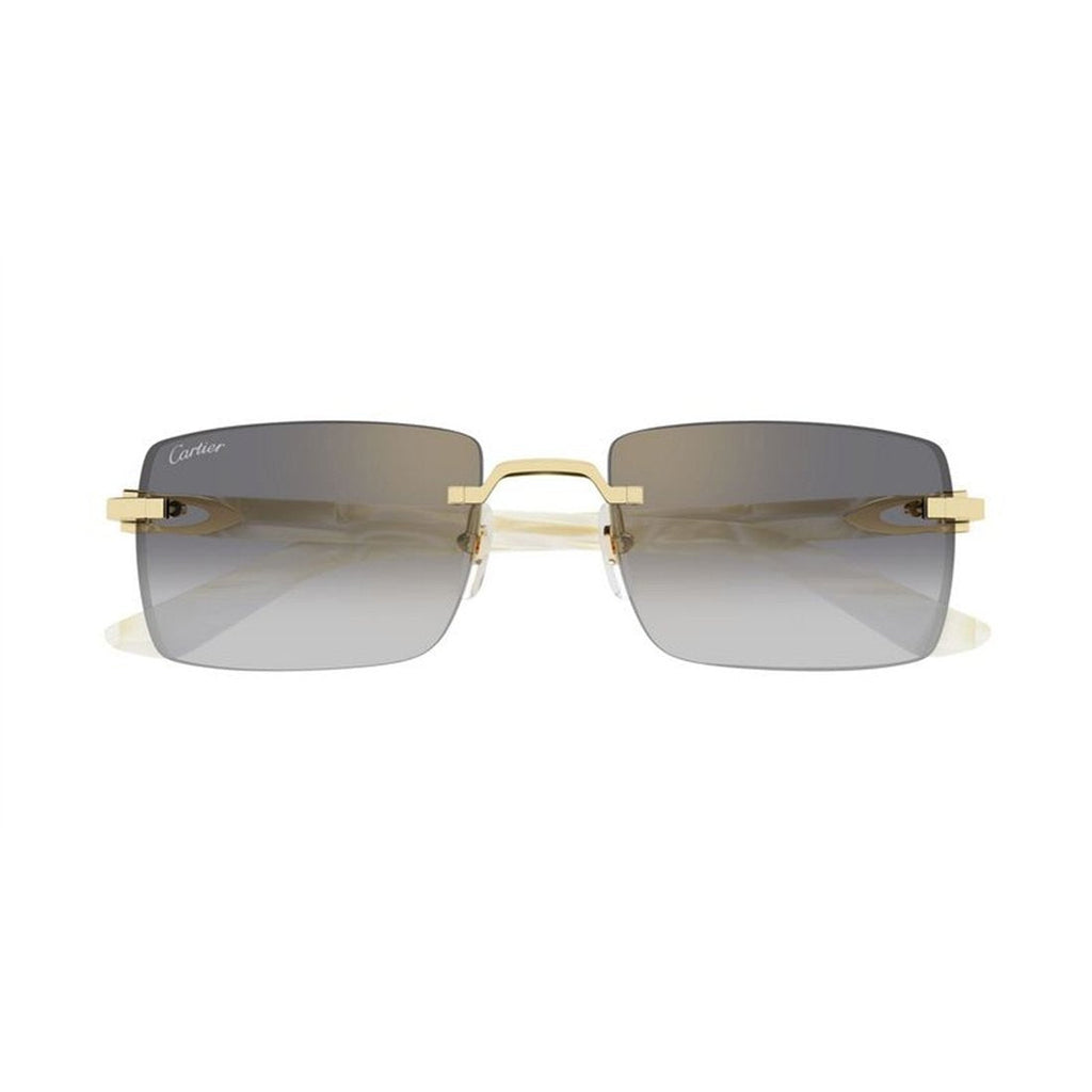 CARTIER CT0579S Mini Designer Sunglasses for Men