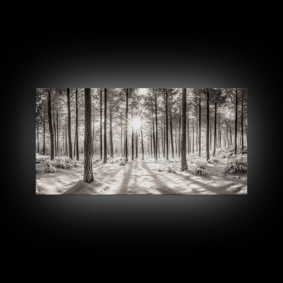 Winter Pine Forest, Sunlight Snow Trees, Nature Landscape Photography, Framed Canvas Print, Cabin Decor, Minimalist Wall Art