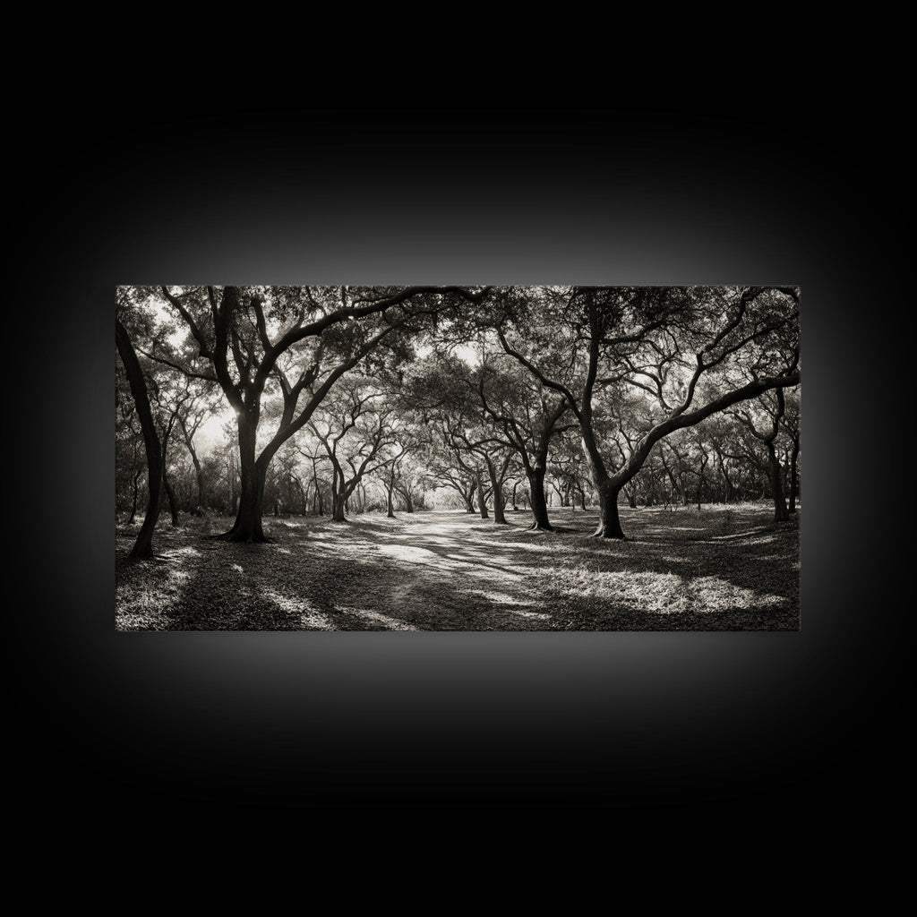Oak Tree Path, Autumn Forest Glow, Nature Trail Photography, Framed Canvas Print, Hallway Wall Art, Earthy Decor, Woodland Art