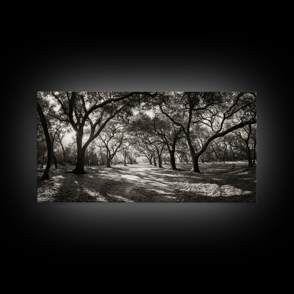 Oak Tree Path, Autumn Forest Glow, Nature Trail Photography, Framed Canvas Print, Hallway Wall Art, Earthy Decor, Woodland Art