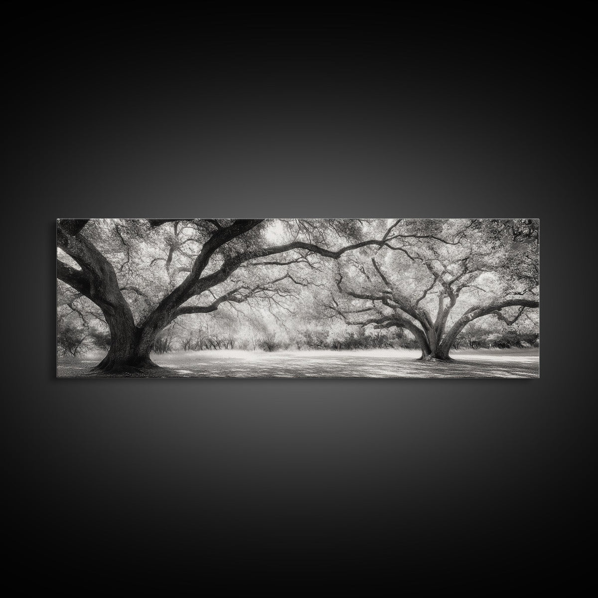 Sprawling Trees, Oak Forest, Sunlit Canopy, Majestic Branches, Canvas Print, Nature Wall Art, Boho Decor, Living Room Statement Piece