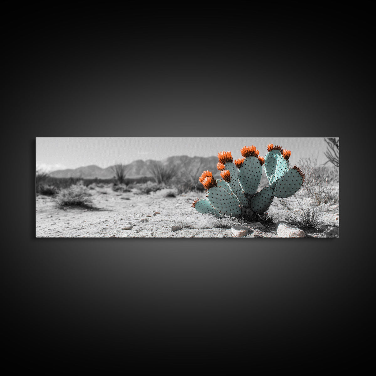 Cactus Garden, Desert Life, Orange Bloom, Nature Vibes, Framed Canvas Print, Rustic Wall Art, Boho Decor, Office Botanical Accent