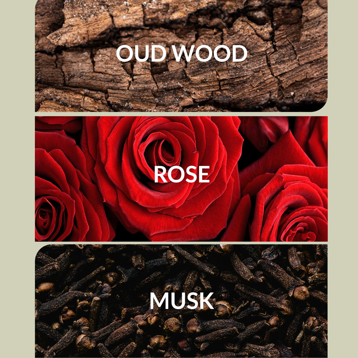 Desert Rose™