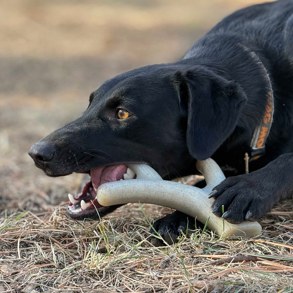 Ever Antler Nylon Chew Bone | Elk Antler Shaped Dog Toy for Aggressive Chewers | SodaPup