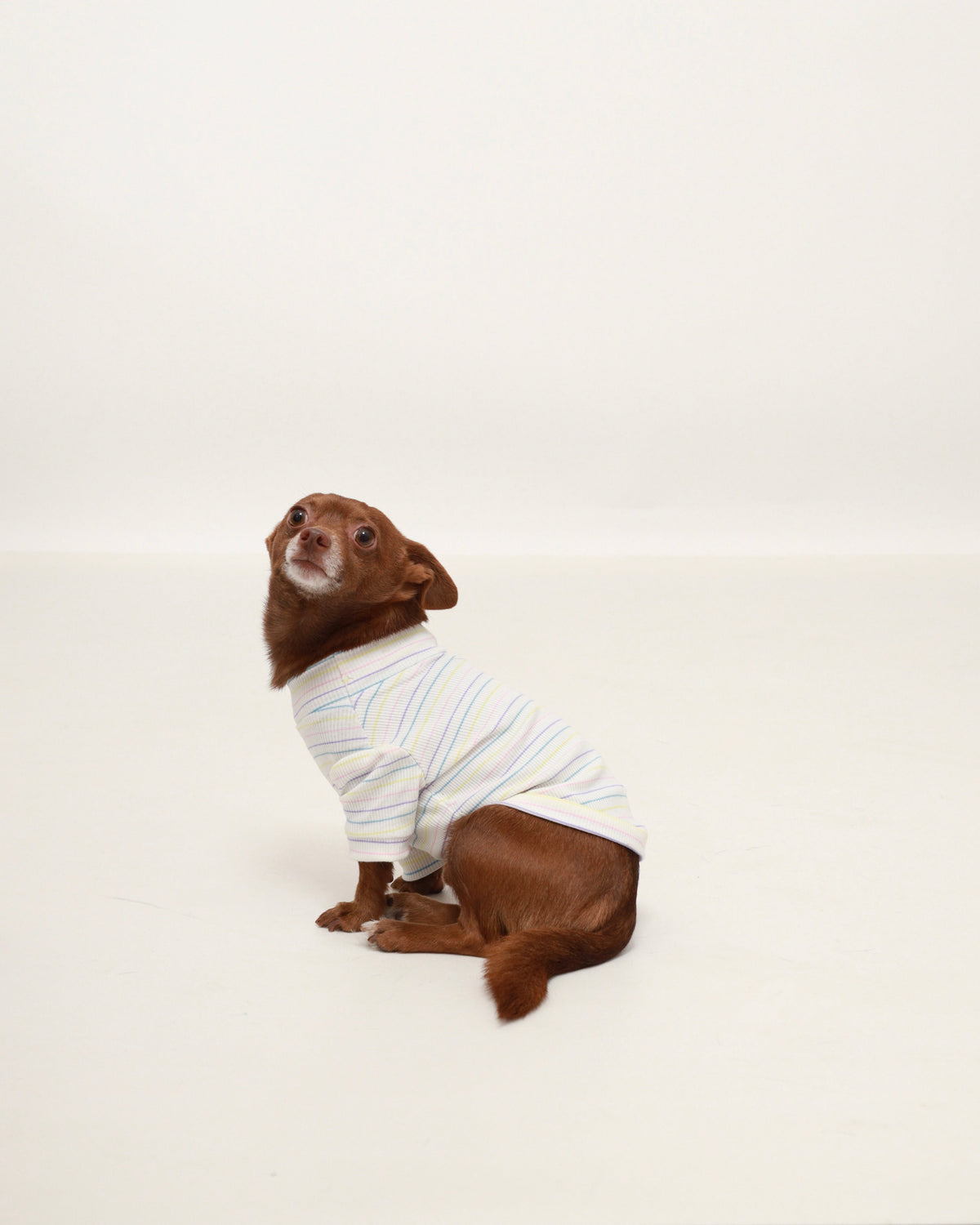 Pastel Striped Turtleneck