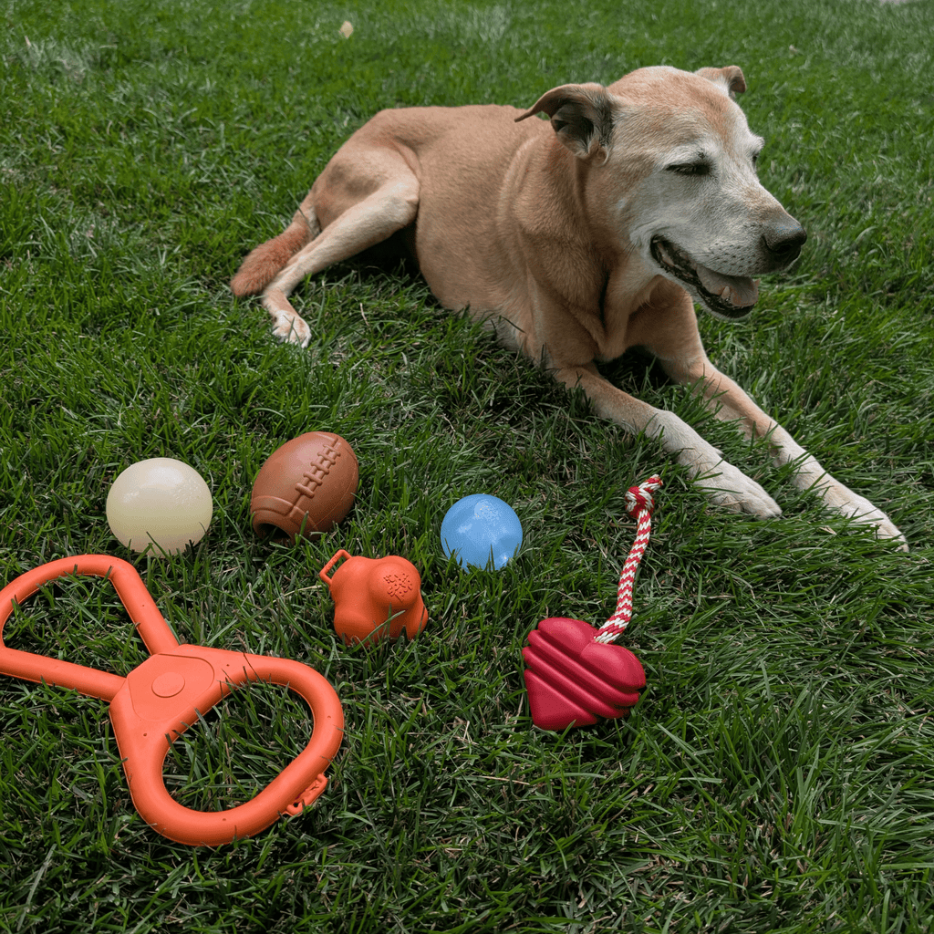 Dog Fetch Balls
