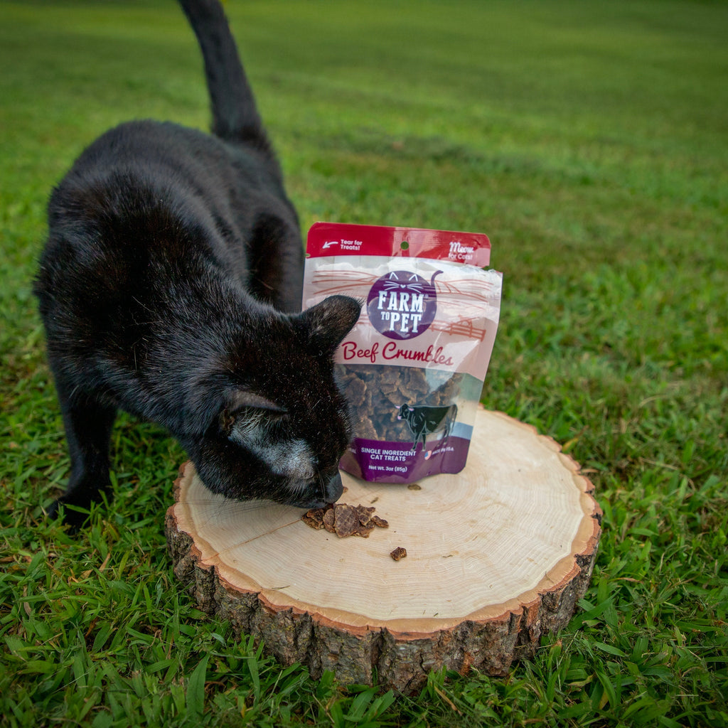 Beef Crumbles Cat Treats | High Protein Treats for Cats