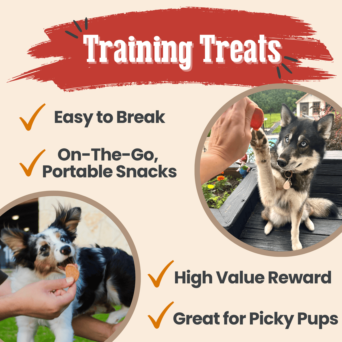 Turkey & Chicken Chip Dog Treat Duo | Single-Ingredient Poultry Treats for Dogs