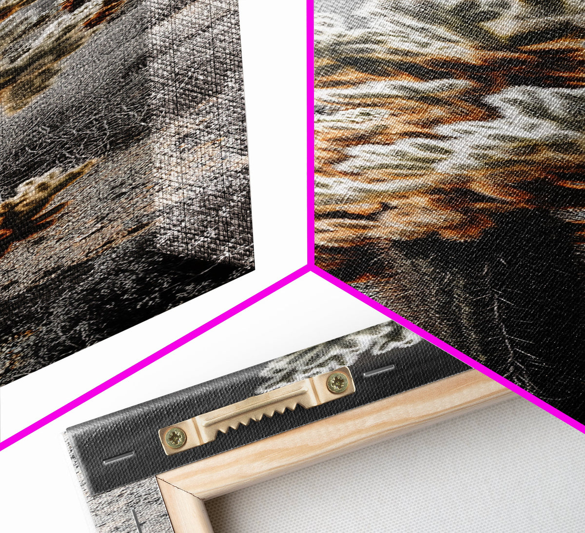 Cholla Cactus Desert, Southwestern Nature Scene, Spiky Plant Decor, Framed Canvas Print, Minimalist Boho Art, Sunroom or Entryway Style
