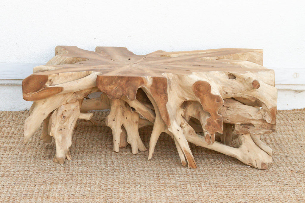 Sculptural Live Form Teak Root Coffee Table