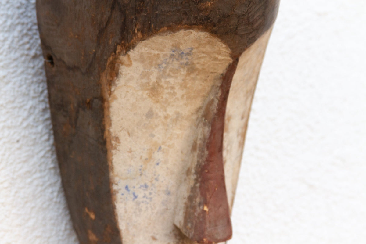 Painted African Savannah Mask