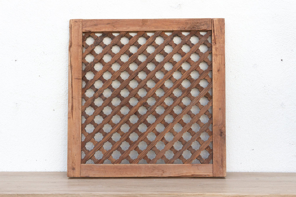The Midnight Bloom, Lattice Panel