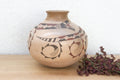 Vintage Desert Serpent Mata Ortiz Jug