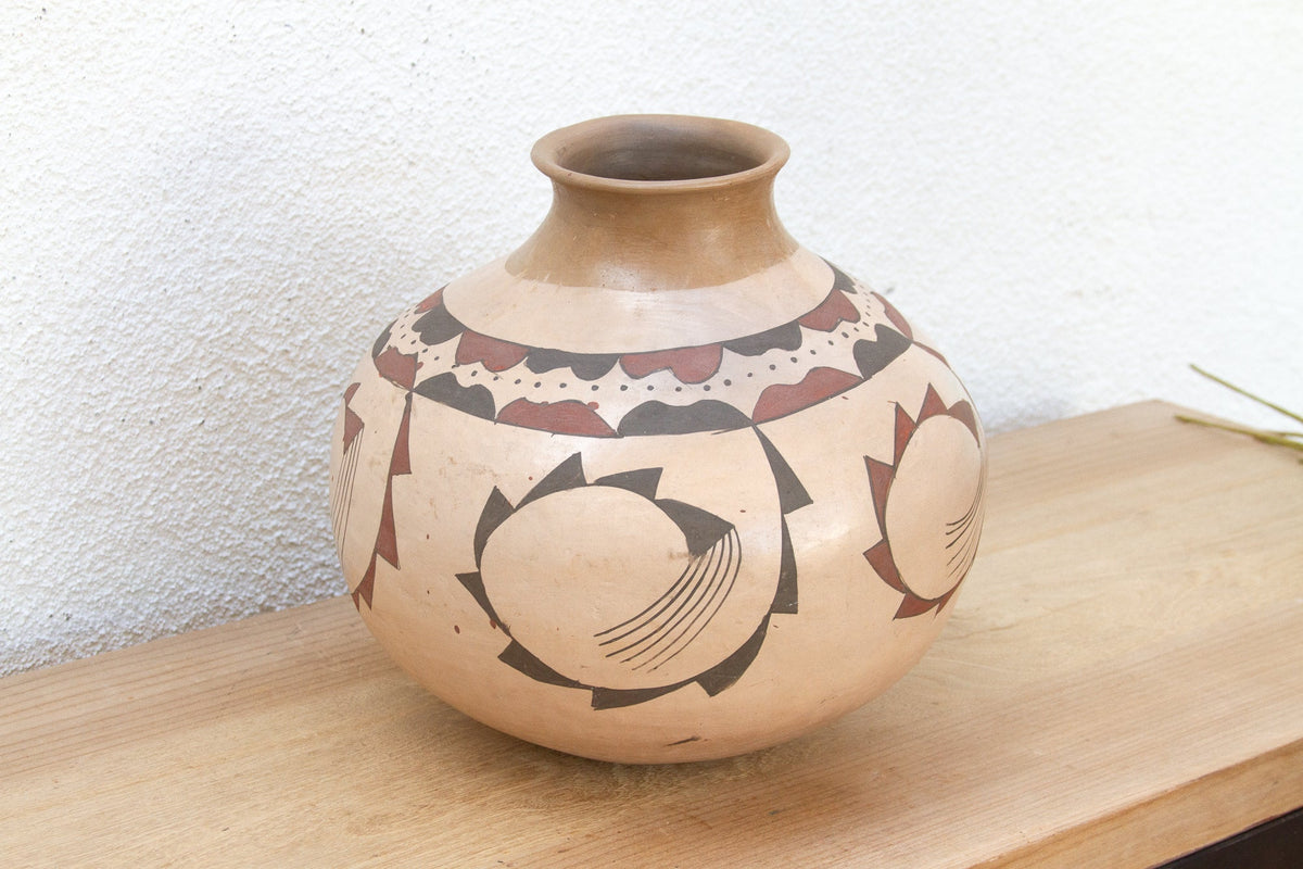 Vintage Desert Serpent Mata Ortiz Jug