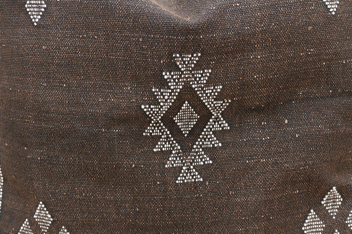 Berber Moroccan Large Silk Rug Pillow