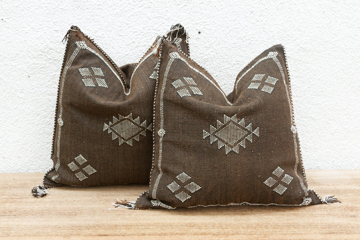 Pair of Desert Ember Silk Rug Pillows