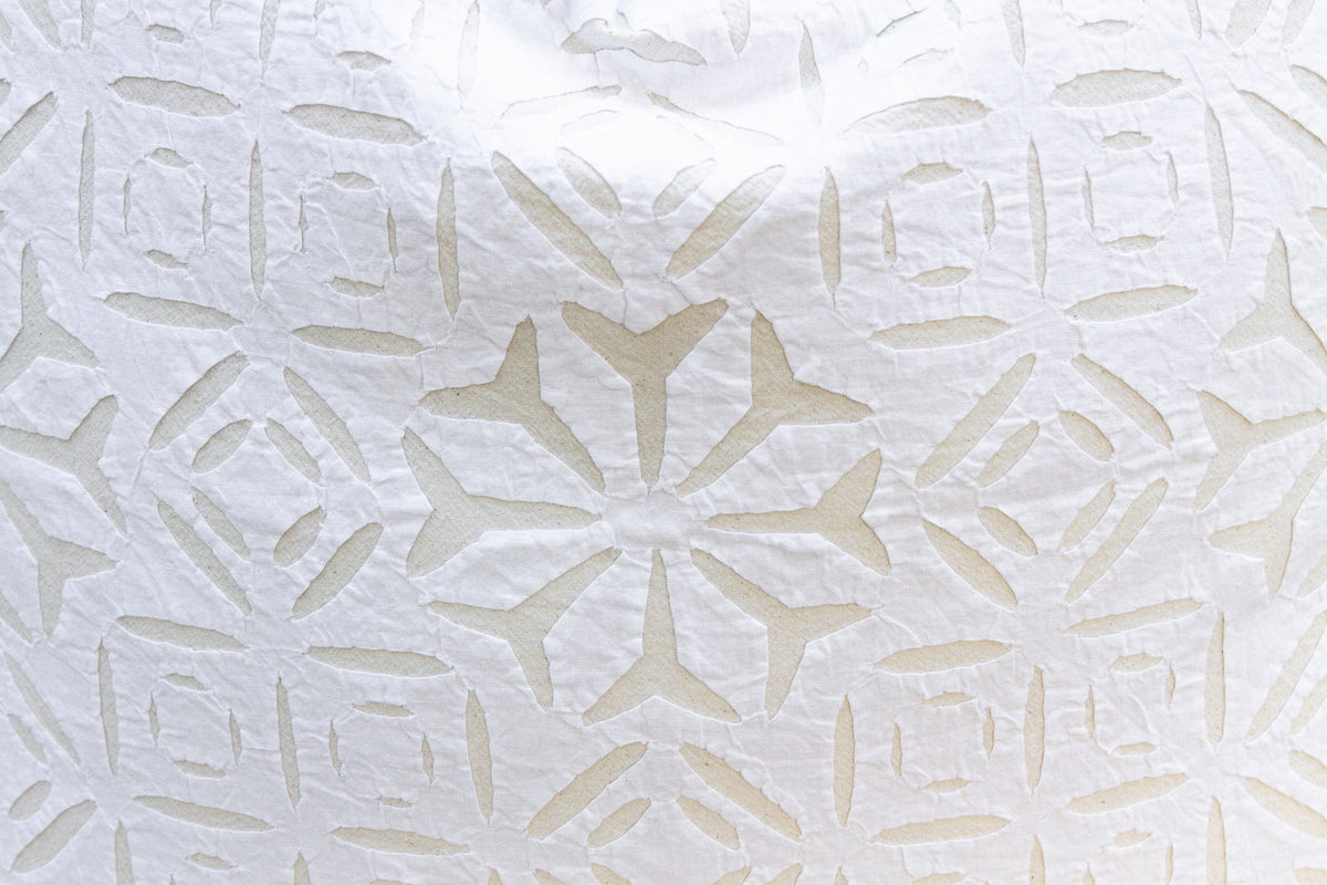 Star Jasmine Euro Applique Pillow Cover