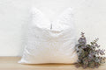 Pale Tide Euro Applique Pillow Cover