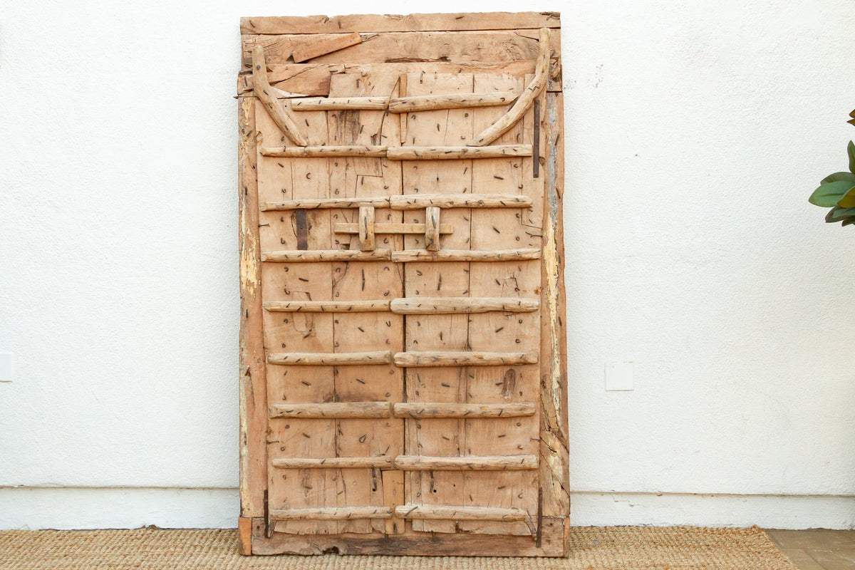 Early 1800's Rajasthan Haveli Lotus Door