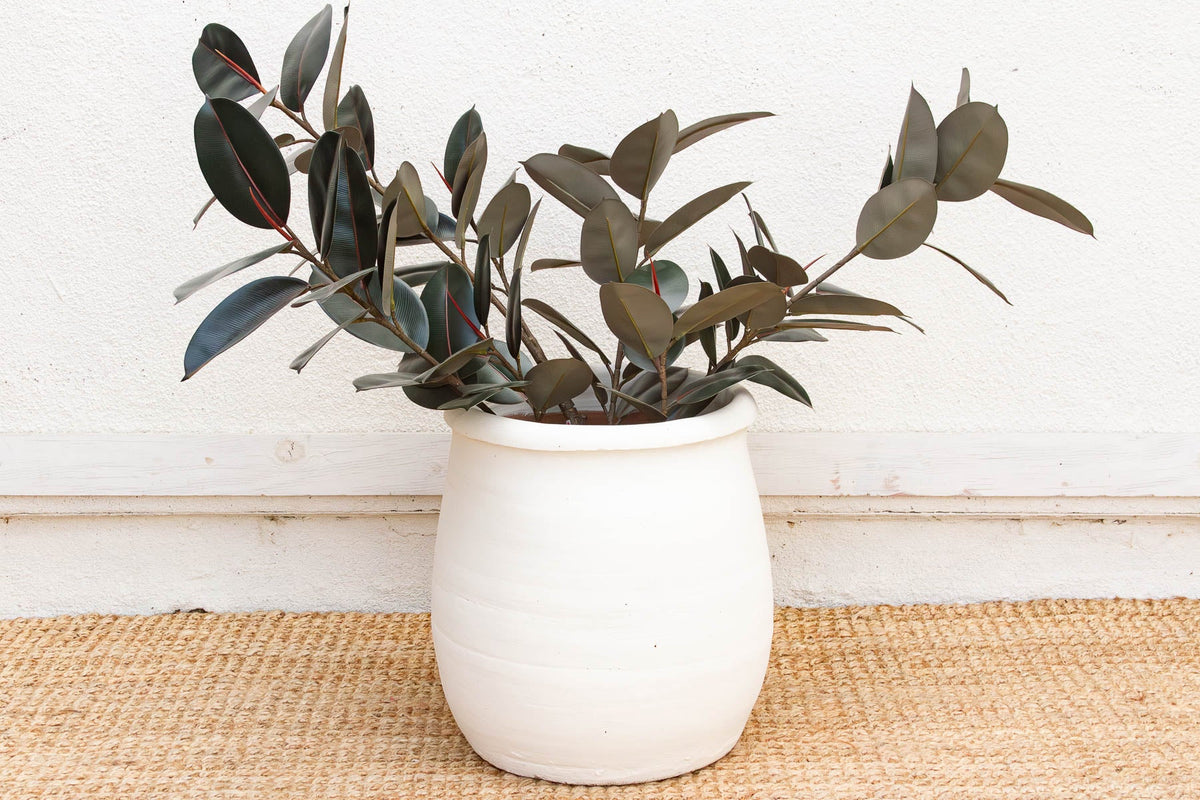 19" DM Chalk White Mediterranean Urn Planter