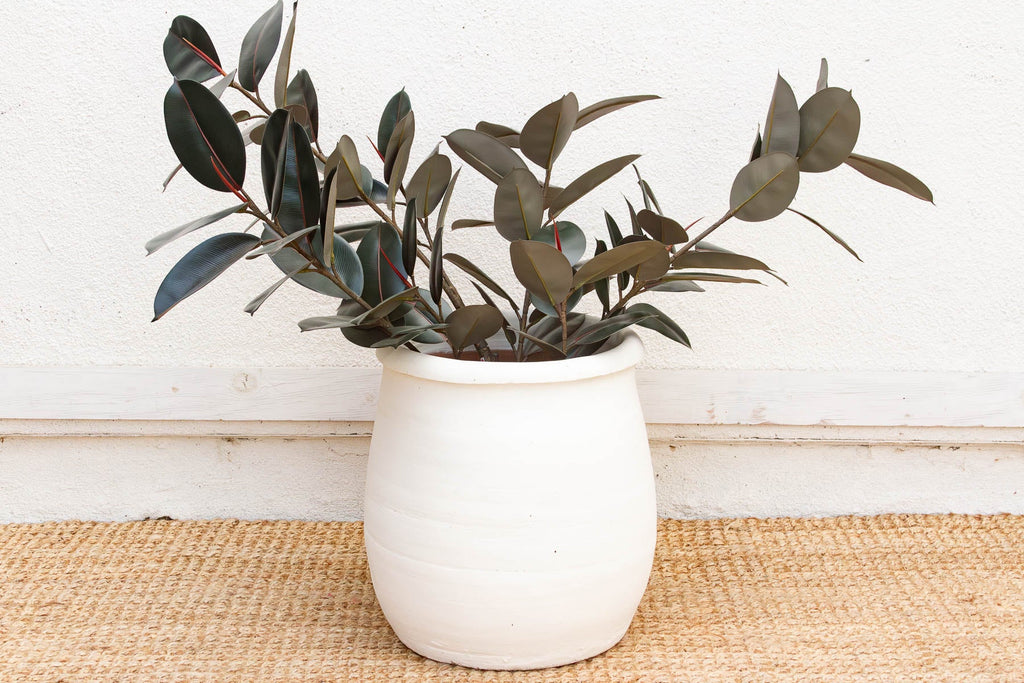 19" DM Chalk White Mediterranean Urn Planter