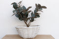 Grand Vintage French Provincial Basket